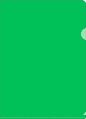 Папка-уголок Бюрократ -EE310/1GREEN A4 пластик 0.15мм зеленый