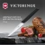 Нож кухонный Victorinox Swiss Modern (6.9003.10) стальной универсальный для чистки овощей и фруктов лезв.100мм прямая заточка черный Нож кухонный Victorinox Swiss Modern (6.9003.10) стальной универсальный для чистки овощей и фруктов лезв.100мм прямая заточка черный