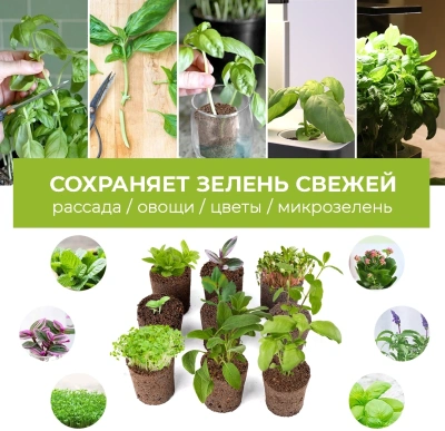 Набор питательных губок Cactus CS-SPONGE-11 для проращивания для CS-LEDPOT-11/SMARTPOT-11 (упак.:11шт) пакет