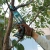 Сабельная пила Makita JR103DZ аккум. 3300ход/мин Сабельная пила Makita JR103DZ аккум. 3300ход/мин