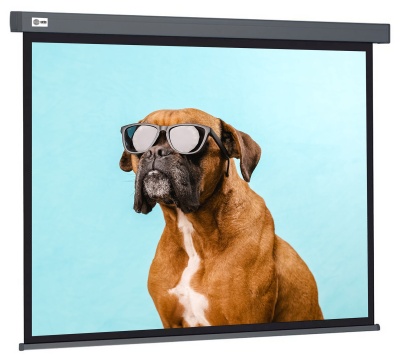 Экран Cactus 120" 149.4x265.7см Wallscreen CS-PSW-149X265-SG 16:9 настенно-потолочный рулонный серый