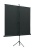 Экран на треноге Lumien 180x180см Eco View LEV-100102 1:1 напольный рулонный Экран на треноге Lumien 180x180см Eco View LEV-100102 1:1 напольный рулонный