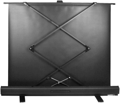 Экран Cactus 79" 120x160см FloorExpert CS-PSFLE-160X120 4:3 напольный рулонный