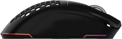 Мышь Оклик 900GMW черный оптическая 26000dpi беспров. BT/Radio USB 6but (1796786)