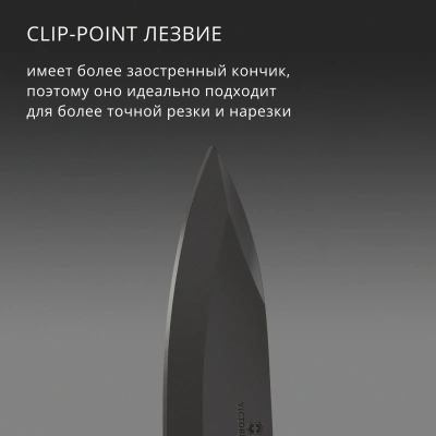 Нож перочинный Victorinox Evoke BS Alox Beige (0.9415.DS249) 136мм 4функц. бежевый подар.коробка