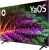 Телевизор QLED BBK 65" 65LED-8260/UTS2C (B) Яндекс.ТВ черный 4K Ultra HD 60Hz DVB-T2 DVB-C DVB-S2 USB WiFi Smart TV (RUS)