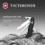 Нож перочинный Victorinox Forester (0.8363.3) 111мм 12функц. черный карт.коробка Нож перочинный Victorinox Forester (0.8363.3) 111мм 12функц. черный карт.коробка