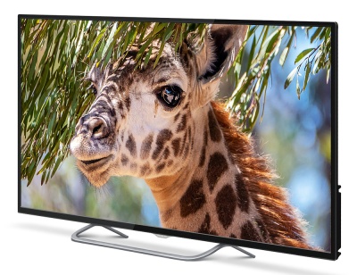 Телевизор LED PolarLine 50" 50PU11TC-SM черный 4K Ultra HD 60Hz DVB-T DVB-T2 DVB-C DVB-S2 USB WiFi Smart TV (RUS)