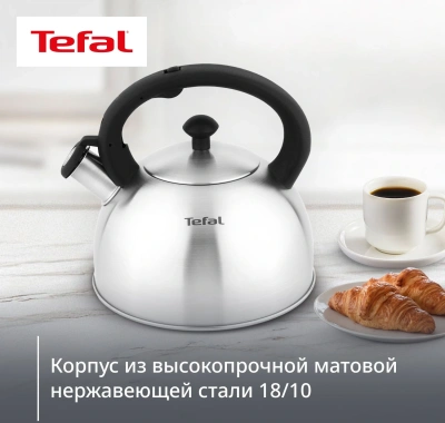 Чайник металлический Tefal Wawe N4210117 2.5л. серебристый (3110602015)