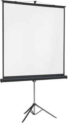 Экран на треноге Lumien 131" 244x244см Master View LMV-100105 1:1 напольный рулонный