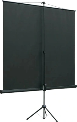 Экран на треноге Lumien 67" 120x120см Eco View LEV-100116 1:1 напольный рулонный черный