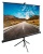 Экран Cactus 89" 160x160см TriExpert CS-PSTE-160x160-BK 1:1 напольный рулонный черный Экран Cactus 89" 160x160см TriExpert CS-PSTE-160x160-BK 1:1 напольный рулонный черный