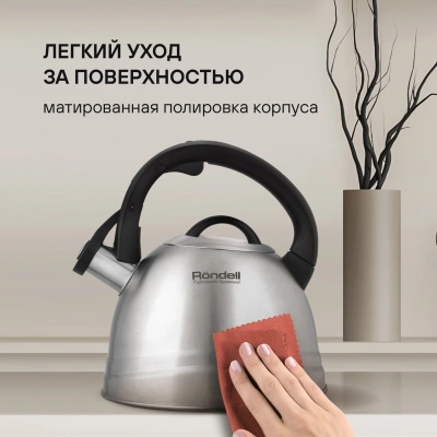Чайник металлический Rondell Zart RDS-1828 2.7л. стальной