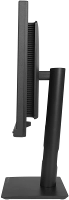 Монитор Asus 23.6" ProArt PA24US черный IPS LED 16:9 HDMI M/M матовая HAS Piv 600cd 178гр/178гр 3840x2160 60Hz DP Quad 4K (2160p) USB 6кг