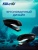 Степлер Kw-Trio 05665black Dolphin 24/6 26/6 (20листов) черный 150скоб металл/пластик Степлер Kw-Trio 05665black Dolphin 24/6 26/6 (20листов) черный 150скоб металл/пластик