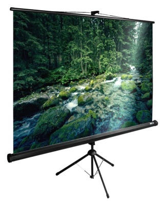 Экран Cactus 108" 165x220см TriExpert CS-PSTE-220x165-BK 4:3 напольный рулонный черный