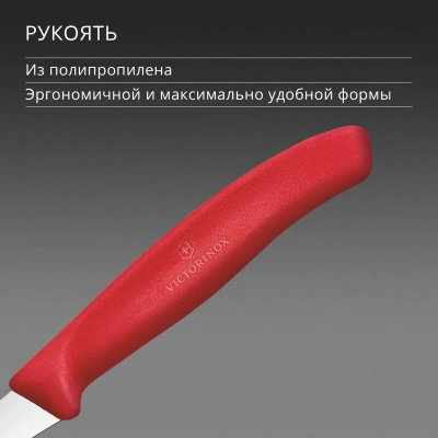Нож кухонный Victorinox Swiss Classic (6.7501.C1) стальной универсальный для формовки лезв.60мм прямая заточка красный