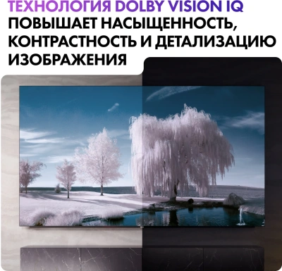 Телевизор OLED Haier 55" S9 Pro Frameless черный 4K Ultra HD 120Hz DVB-T DVB-T2 DVB-C DVB-S2 USB WiFi Smart TV