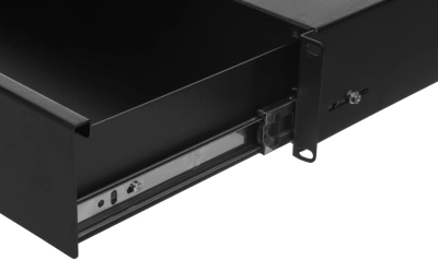 Ящик выдвижной для документации ЦМО ТСВ-Д-2U.450-9005 2U 19" 450мм черный (упак.:1шт)