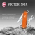 Нож перочинный Victorinox Classic SD Mango Tango (0.6223.83G) 58мм 7функц. подар.коробка Нож перочинный Victorinox Classic SD Mango Tango (0.6223.83G) 58мм 7функц. подар.коробка