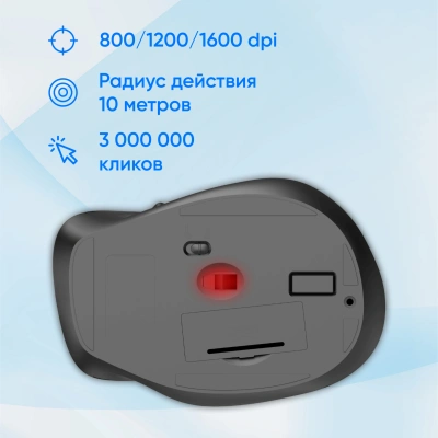 Мышь Оклик 504MW черный/серый оптическая 1600dpi silent беспров. USB 6but (2004736)
