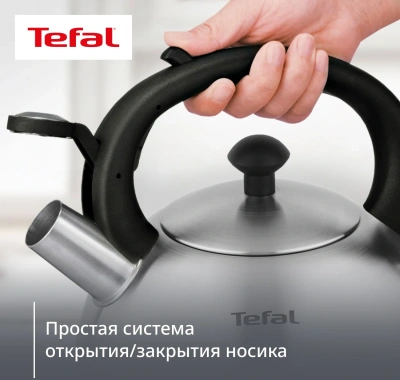 Чайник металлический Tefal Wawe N4210117 2.5л. серебристый (3110602015)