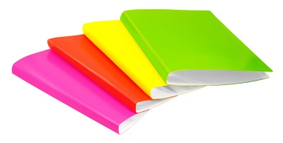 Папка с 20 прозр.вклад. Бюрократ Неон DNE07V20LETT A4 пластик 0.7мм салатовый