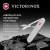 Ножницы Victorinox Companion X Alox (0.8070.26) 93мм 1функц. серебристый карт.коробка Ножницы Victorinox Companion X Alox (0.8070.26) 93мм 1функц. серебристый карт.коробка