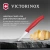 Нож кухонный Victorinox Swiss Classic 6.7301.C1 стальной разделочный для чистки овощей и фруктов лезв.60мм прямая заточка красный Нож кухонный Victorinox Swiss Classic 6.7301.C1 стальной разделочный для чистки овощей и фруктов лезв.60мм прямая заточка красный