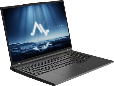 Ноутбук Maibenben X16E-R99558 Ryzen 9 9955HX 32Gb SSD2Tb NVIDIA GeForce RTX5080 16Gb 16" IPS QHD (2560x1600) Windows 11 Home black WiFi BT Cam 6450mAh (X16E-R99558NQSHBRE0)