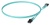 Патч-корд Panduit FX2ELLNLNSNM002 2x50/125 OM3 LC дуплекс-LC дуплекс 2м LSZH аквамарин Патч-корд Panduit FX2ELLNLNSNM002 2x50/125 OM3 LC дуплекс-LC дуплекс 2м LSZH аквамарин