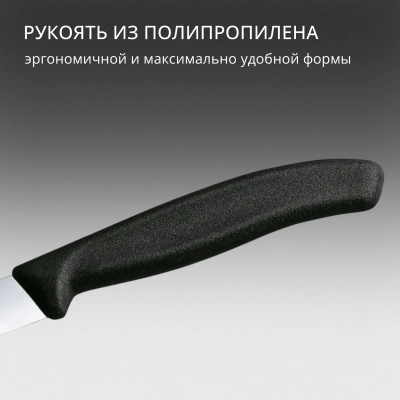 Нож кухонный Victorinox Swiss Classic (6.7703) стальной для чистки овощей и фруктов лезв.100мм прямая заточка черный