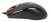 Мышь A4Tech X-710BK черный оптическая 2000dpi USB 7but (X-710BK USB) Мышь A4Tech X-710BK черный оптическая 2000dpi USB 7but (X-710BK USB)