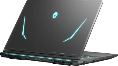 Ноутбук Thunderobot Range 17 G2A Pro Ryzen 7 H255 16Gb SSD1Tb NVIDIA GeForce RTX 5060 8Gb 17.3" IPS FHD (1920x1080) Windows 11 Pro black WiFi BT Cam (JT009W00QRU)