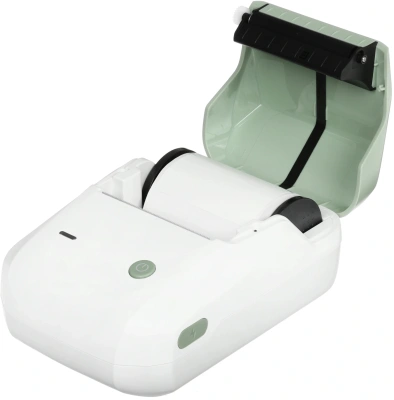 Термопринтер Niimbot B1 (1746798) 203dpi 50мм/с/USB/BT для печ.этик. зеленый