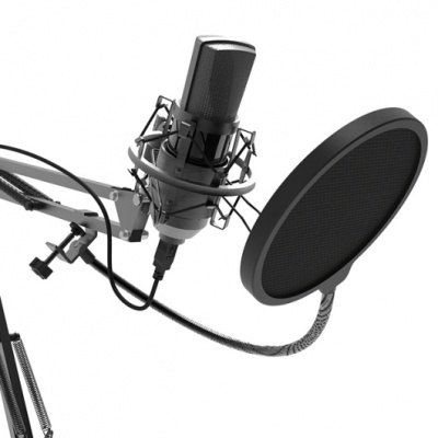 Микрофон проводной Ritmix RDM-180 2.5м черный