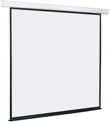 Экран Lumien 131" 244x244см Master Control 1:1 настенно-потолочный рулонный (моторизованный привод)