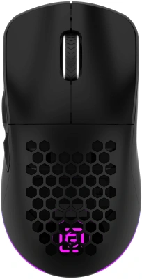 Мышь Оклик 900GMW черный оптическая 26000dpi беспров. BT/Radio USB 6but (1796786)