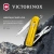 Нож перочинный Victorinox Classic SD Tuscan Sun (0.6223.T81G) 58мм 7функц. подар.коробка