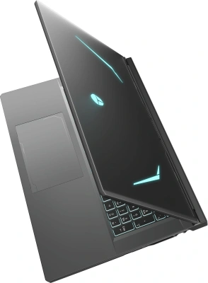 Ноутбук Thunderobot Range 17 G2A Pro 2K Ryzen 7 H255 32Gb SSD1Tb NVIDIA GeForce RTX 5060 8Gb 17.3" IPS QHD (2560x1440) Windows 11 Pro black WiFi BT Cam (JT009X00QRU)
