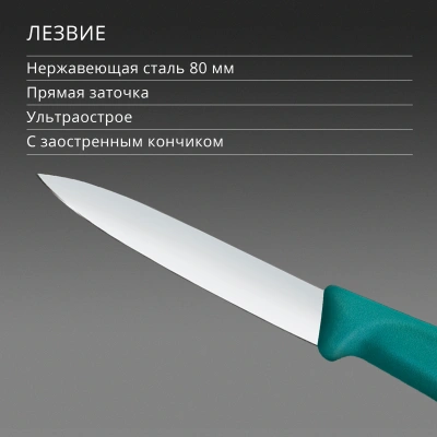 Нож кухонный Victorinox Swiss Classic (6.7604.C1) стальной универсальный для чистки овощей и фруктов лезв.80мм прямая заточка зеленый