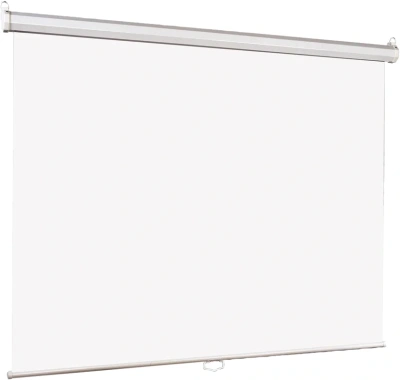 Экран Lumien 67" 120x120см Eco Picture LEP-100131 1:1 настенно-потолочный рулонный белый