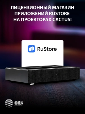 Проектор Cactus CS-U2.B DLP 19000Lm LS 800Lm ANSI (1920x1080) 15000:1 ресурс лампы:50000часов 2xUSB typeA 2xHDMI 1.78кг