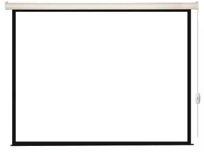 Экран Lumien 110" 203x203см Eco Control LEC-100102 1:1 настенно-потолочный рулонный (моторизованный привод)