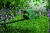 Кусторез Bosch EasyHedgeCut 55 (0600847C02)