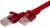 Патч-корд Suprlan 10-0154 UTP RJ-45 вил.-вилка RJ-45 кат.5E 3м красный LSZH 26AWG Патч-корд Suprlan 10-0154 UTP RJ-45 вил.-вилка RJ-45 кат.5E 3м красный LSZH 26AWG