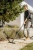 Строительный пылесос Karcher WD 3 S V-17/4/20 1000Вт (уборка: сухая/влажная/выдув/сбор воды) желтый