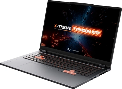 Ноутбук Maibenben X17F-R98956 Ryzen 9 8940HX 24Gb SSD1Tb NVIDIA GeForce RTX 5060 8Gb 17.3" IPS FHD (1920x1080) Windows 11 Home grey WiFi BT Cam 5200mAh (X17F-R989560R34HG4E10)