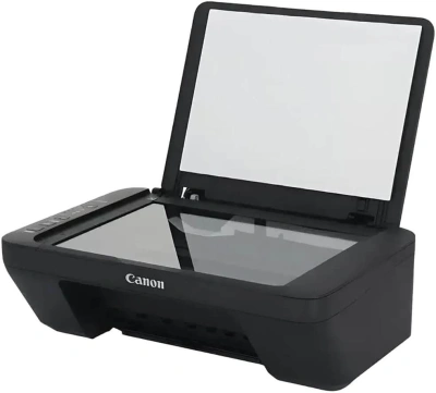 МФУ струйный Canon Pixma MG2541S (0727C071/0727C067) A4