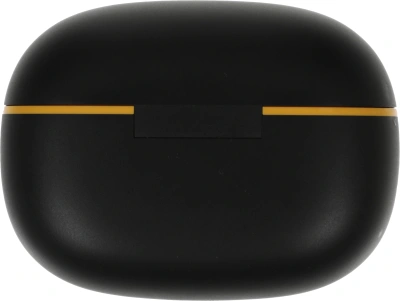 Гарнитура внутриканальные Realme Buds T200 Lite черный беспроводные bluetooth в ушной раковине (6941764454491)